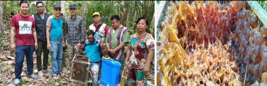 Pembinaan Budidaya Lebah Madu Kelulut di Kabupaten Barito Utara